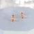 Import Dylam Jewelry New arrival cute style zirconia plated 18k gold 925 sterling silver stud earrings from China