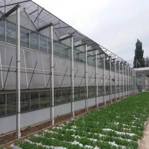 Ecological sightseeing tour of the greenhouse Vegetable and fruit planting greenhouses