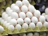Quality White Poultry  Eggs