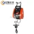 Import electric hoist winch for lifting sailboat from China