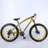 environment protection Mountain bike adult beach snowmobile large tires male and female student variable speed vehicle