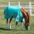 Import Equestrian and Riding Products Wholesale Horse Pony Fleece Rugs from China