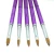 Import Eval Professional Kolinsky Sable Acrylic Nail Art Brush No. 6/12 UV Gel Carving Pen Brush Liquid Powder DIY Nail Drawing from China