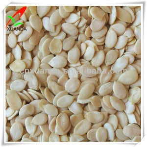 F1 Hybrid Seedless Watermelon Seeds for Commercial cultivation