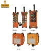 F21 F24 series TELECRANE / TELECONTROL radio remote controller for cranes