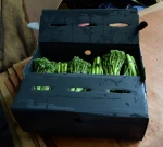 Factory direct price fresh okra plastic packaging box