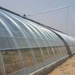 Factory Direct Sale Home Glasshouse Photovoltaic Solar Glass Greenhouse