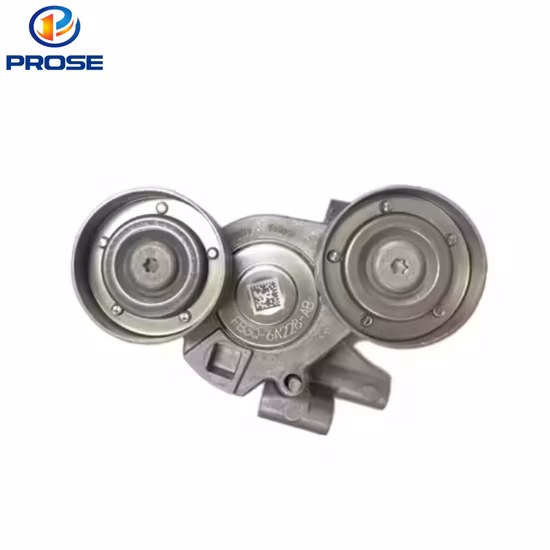 Factory Direct Timing Belt Tensioner Pulley 1731713 1739581 1751007 1766642