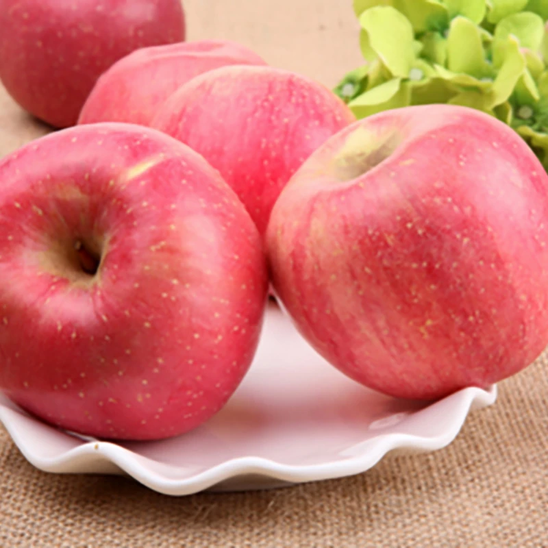 Factory Directly Provide Best Quality apple cider vinegar extract powder