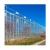 Import Factory Price Long Life Use High Quality Multi Span Agriculture Glass Greenhouse from China