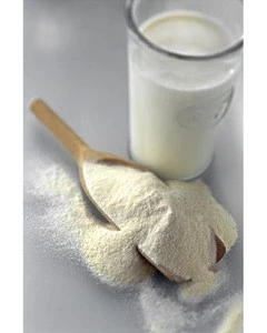 Factory Price Wholesale Skimmed Milk Powder