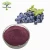 Import Factory Supply Instant Fresh Grape Fruit Powder from China