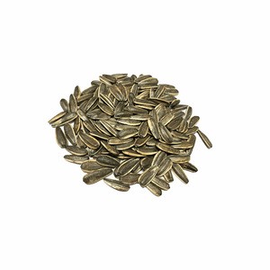Factory supply top grade quality  new crop raw sunflower seeds