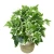 Fake green plants Realistic white Ivy artificial bonsai plant for table decoration