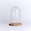 flower glass dome vases and plant pots terrarium with wooden plate
