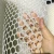 Import food grade  White Plastic mesh net/plastic extruded mesh from China