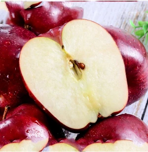 fresh apples exporters High quality fresh red delicious fruit huaniu apples