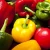 Import Fresh Bell Peppers/Color Capsicum/Exotic Vegetables!! from South Africa
