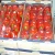 Import Fresh Capsicum/ Sweet pepper/ Color Sweet pepper from Belgium