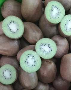 Fresh Kiwi fruit wholesales  / Kiwi Greek origin Grade 1 for export