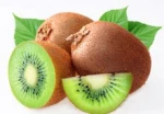 FRESH KIWI FRUIT