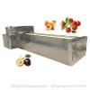 Fresh Plum Nuclear And Seed Remove Fruit Pitting And Pitter Machine
