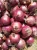 Import Fresh small rose brown red onion from China