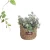 Import fresh style custom different size and shape hanging wall planter plant pot seagrass rattan woven basket from China
