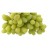 Import Fresh Thompsons Grapes Best Quality from India