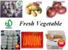 Fresh Vegetable(Garlic,ginger,onion...) - China Crop
