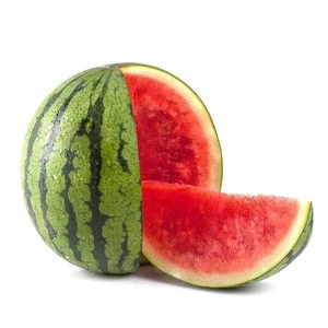 Fresh Water Melons in best price