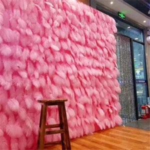 G-585 Wedding Window Display Shop Decoration Ostrich Feather Wall Background for Sale