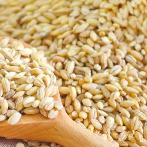Global Royal farm wheat, Milling Wheat, Bulgur Wheat/Cracked Wheat