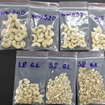 Grade A High Quality Cashew Nuts Organic Cashew Nuts W320 W240 W180 factory price cashew nuts