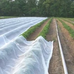 Ground Cover 100% PP Non Woven Weed Control Fabric Multi-Span Agricultural Greenhouses
