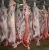 Import Halal Goat Carcass from South Africa