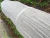 Import Hengji agricultural cover plants white non woven spunbond fabric from China