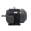 high efficiency permanent electric synchronous motor