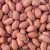 Import High Grade Raw Peanuts kernels and Peanuts / Roasted Blanched Peanuts Seeds for sale from USA