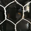 High quality chicken duck rabbit gabion fence wire mesh / hexagonal iron wire netting for farming