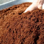 High Quality Coco Peat for retailers