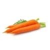 High quality Fresh Carrot price