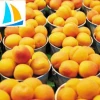 High Quality Fresh Frozen Yellow Peach for sale