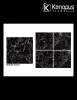 High Quality High Gloss Porcelain Tile 800x800mm Porcelain Tiles For Living Room Hall