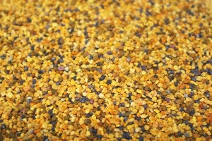 High quality organic fresh 100% Bee Pollen