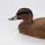 Import High quality outdoor hunting decoys animal trap plastic duck hunting decoys from China