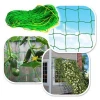 high quality PE material Agriculture or Gardening climbing Plant Support Net