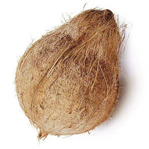 High Quality Semi Husked Fresh Coconut