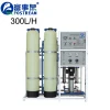 High quality tap water filtration system/6t/h reverse osmosis water purifier