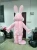 Import Hot Sale Bugs Bunny Mascot,Bugs Bunny Mascot Costume for adults from China